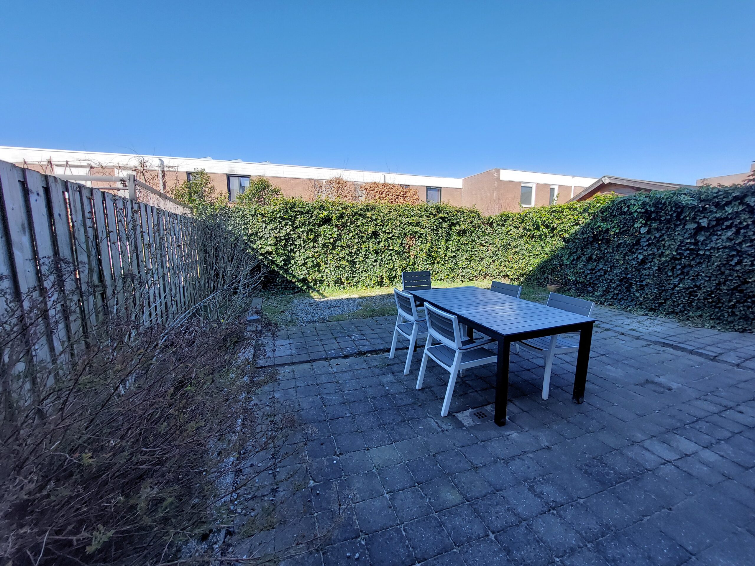 Image 20